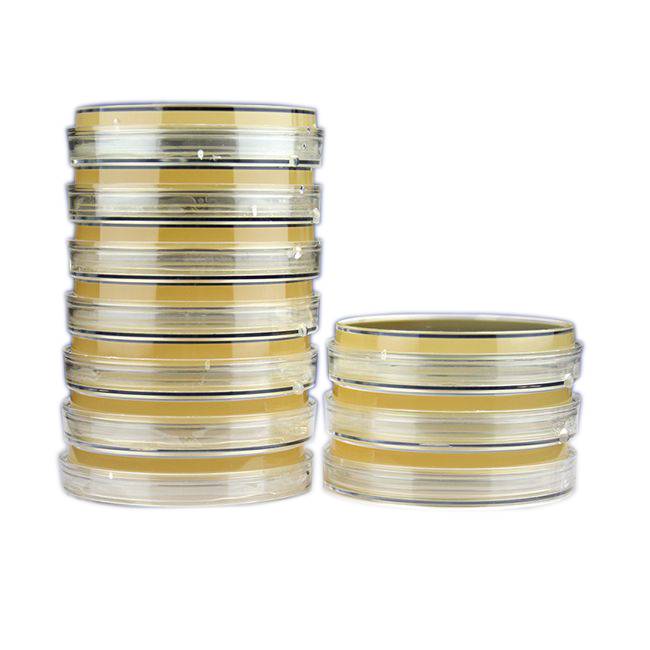 營(yíng)養(yǎng)瓊脂平板